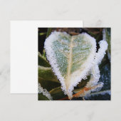 氷のハート形の葉 招待状 (正面/裏面)