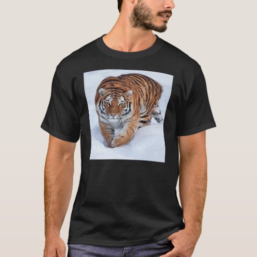 氷のワイシャツのトラ Tシャツ (正面)