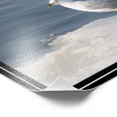 氷の上でカモメ フォトプリント            (角)