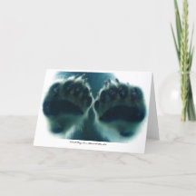 氷の下で彼らが見たもの