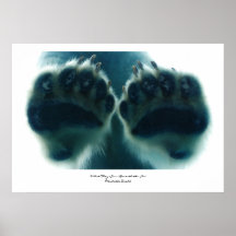 氷の下で彼らが見たもの