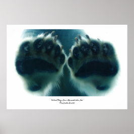 氷の下で彼らが見たもの ポスター