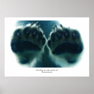 氷の下で彼らが見たもの ポスター