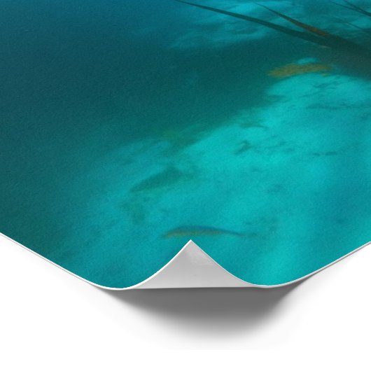 氷の下 ポスター (角)