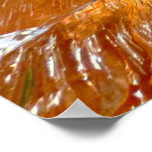 氷の中のグラジオリ ポスター (角)