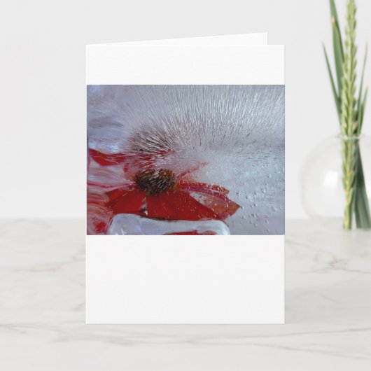 氷の中の船乗り カード (正面)