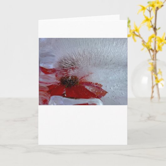 氷の中の船乗り カード (黄色い花)