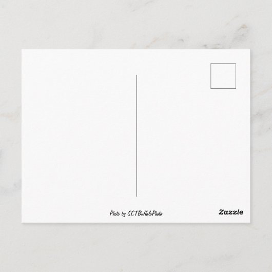 氷の反射 ポストカード (裏面)