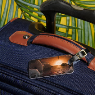 氷の夜の側から外惑星トラピスト–1f。 ラゲッジタグ