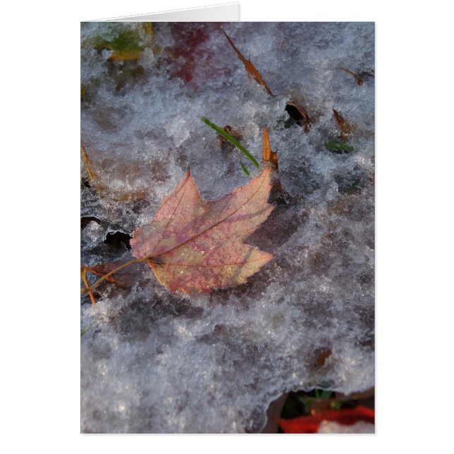 "氷の宝物" (正面)