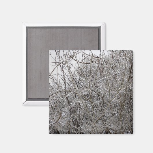 氷の小枝 マグネット (正面/裏面)