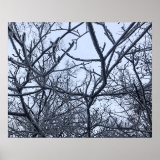 氷の嵐の後で ポスター