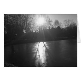 氷の影 – ノワール、カード