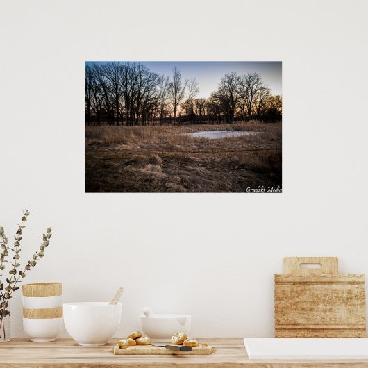 氷の春 ポスター (キッチン)