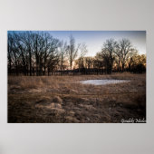 氷の春 ポスター (正面)