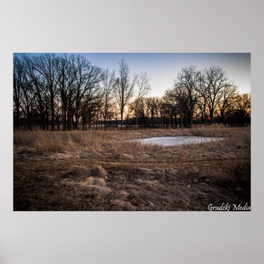 氷の春 ポスター (正面)