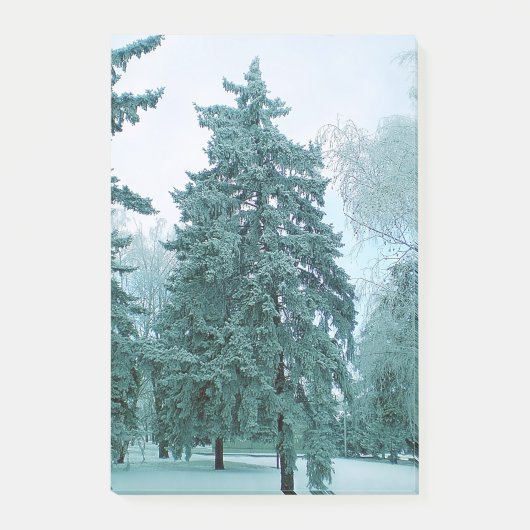 氷の松の木 ポストイット (正面)