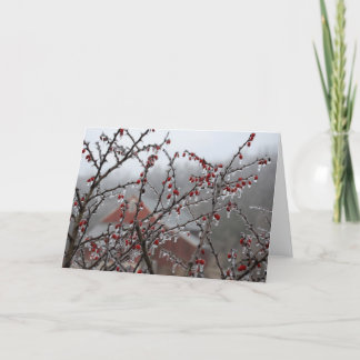 氷の果実 カード