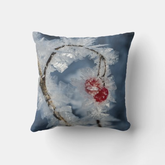 氷の果実 クッション (裏面)