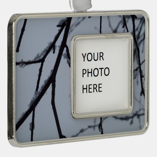 氷の枝冬の自然写真 シルバープレートフレームオーナメント (右)