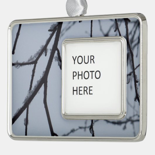 氷の枝冬の自然写真 シルバープレートフレームオーナメント (左)
