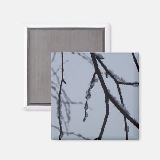氷の枝冬の自然写真 マグネット (正面/裏面)