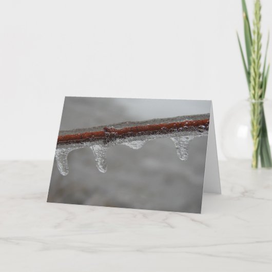 氷の枝 カード (正面)