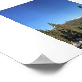 氷の森のパノラマカラー写真 ポスター (角)