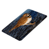 氷の泥の上の殺し屋 マグネット (左側)