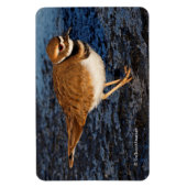 氷の泥の上の殺し屋 マグネット (縦)