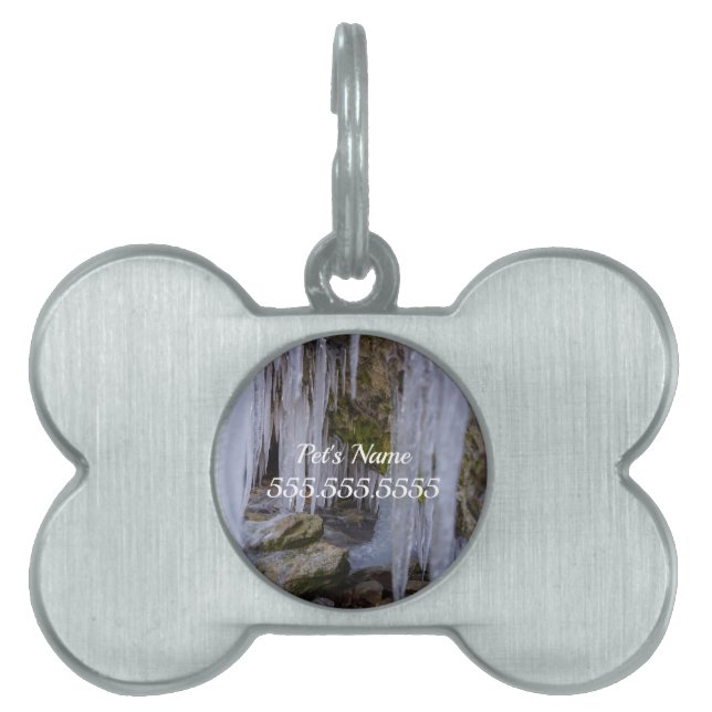 氷の洞窟トンネルペットタグ ペットネームタグ (正面)