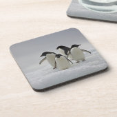 氷の流れのアデリーペンギン コースター (左側)