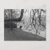 氷の湖 ポストカード (正面)