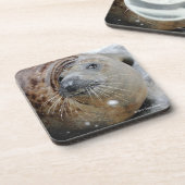 氷の灰色のシール コースター (左側)