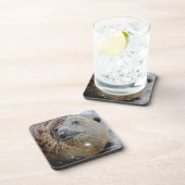 氷の灰色のシール コースター (右側)