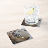 氷の灰色のシール スクエアペーパーコースター (インサイチュ)