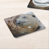 氷の灰色のシール スクエアペーパーコースター (アングル)