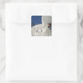 氷の登山は、タスマン氷河の下の山 スクエアシール (バッグ)