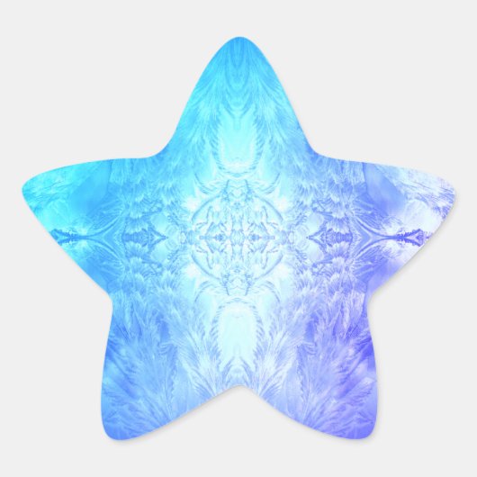 氷の結晶 星シール (正面)