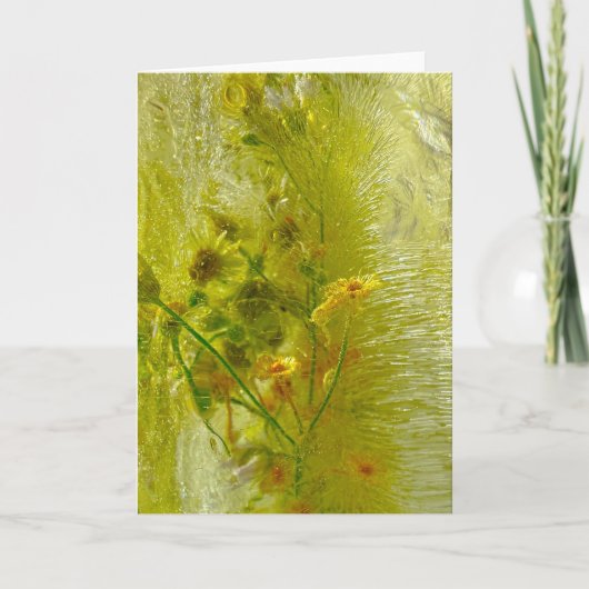 氷の花 カード (正面)