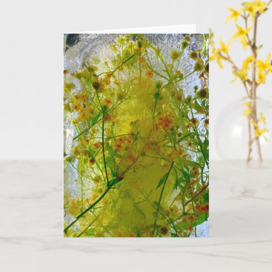 氷の花 カード (黄色い花)
