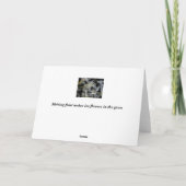 氷の花 カード (裏面)