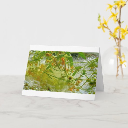 氷の花 カード (黄色い花)