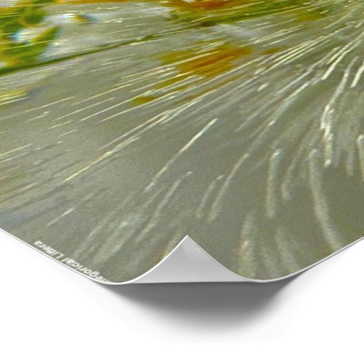 氷の花 ポスター (角)