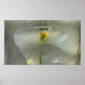 氷の花 ポスター (正面)