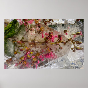 氷の花 ポスター