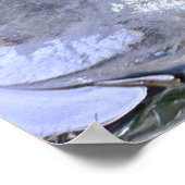 氷の花 ポスター (角)