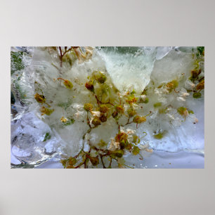 氷の花 ポスター