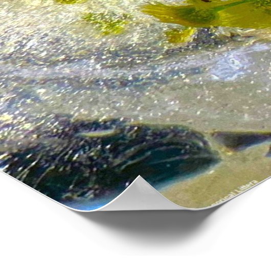 氷の花 ポスター (角)