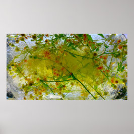 氷の花 ポスター